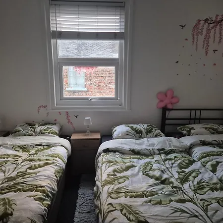 招待所 We Rise By Lifting Others