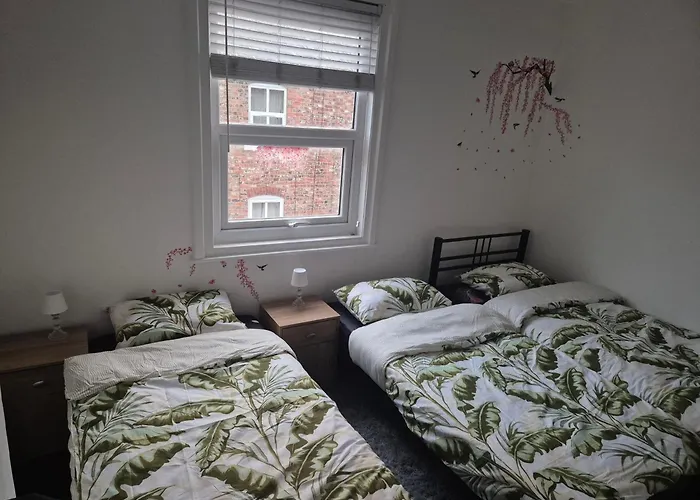 招待所 We Rise By Lifting Others 约克