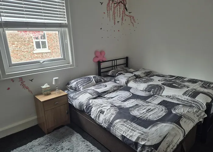 We Rise By Lifting Others * 约克